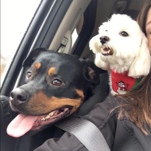 Meet your Posher, Florrie